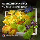 Hisense 43S5QTUK 43" QLED Smart Television - product image 4