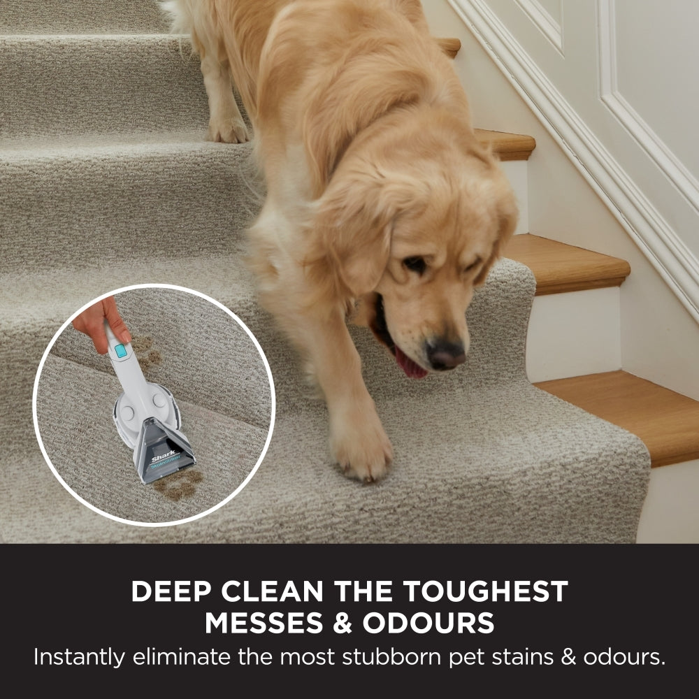Shark EX200UK CarpetXpert Deep Carpet Cleaner with Built-In StainStriker - product image 7