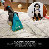 Shark EX300UK CarpetXpert HairPro Pet Deep Carpet Cleaner with Built-In StainStriker - product image 7