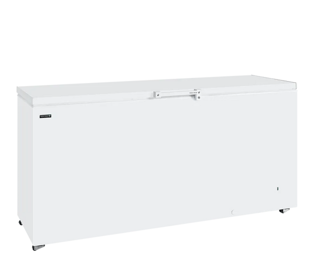TEFCOLD GM600 Glass Door Display Freezer - 600L, Energy Efficient, White